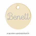 Mini Signiture Arany bevonatú ezüst nyaklánc egyedileg gravírozott medállal